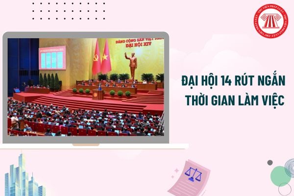 Pháp luật