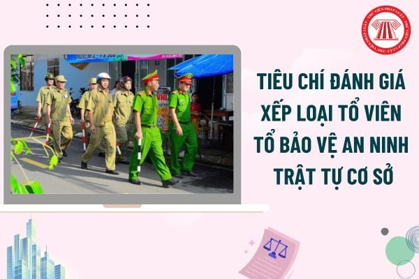 Pháp luật
