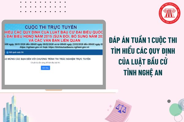 Pháp luật