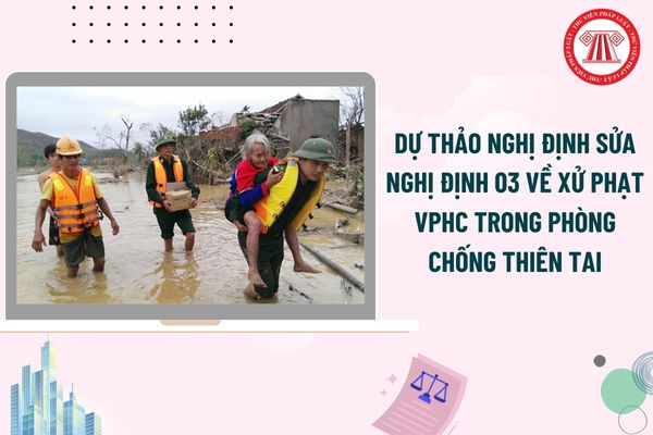 Pháp luật