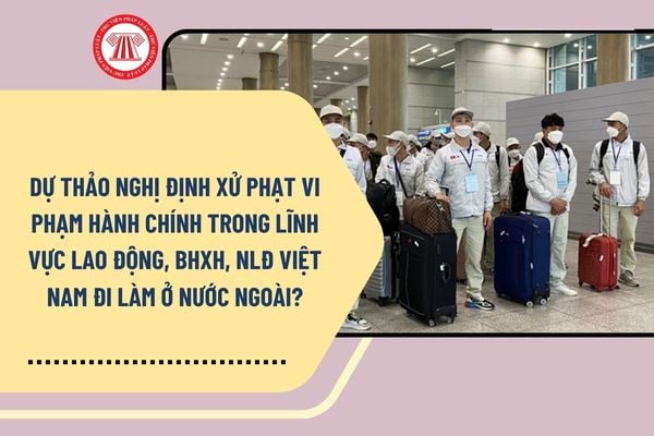 Pháp luật