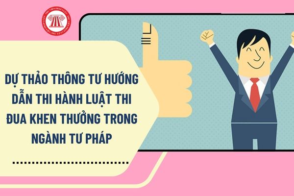 Pháp luật