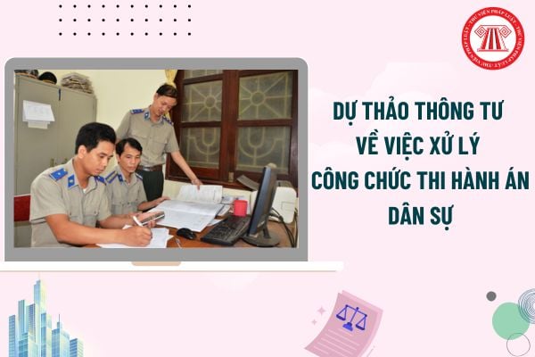 Pháp luật