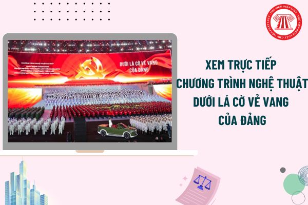 Pháp luật