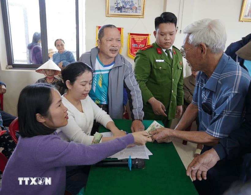Pháp luật