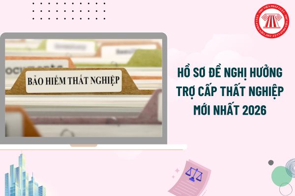 Pháp luật