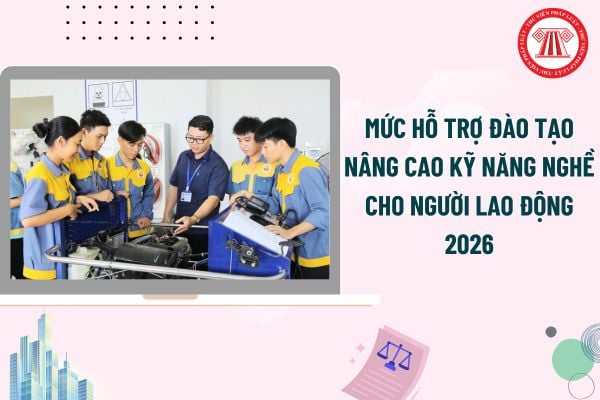 Pháp luật