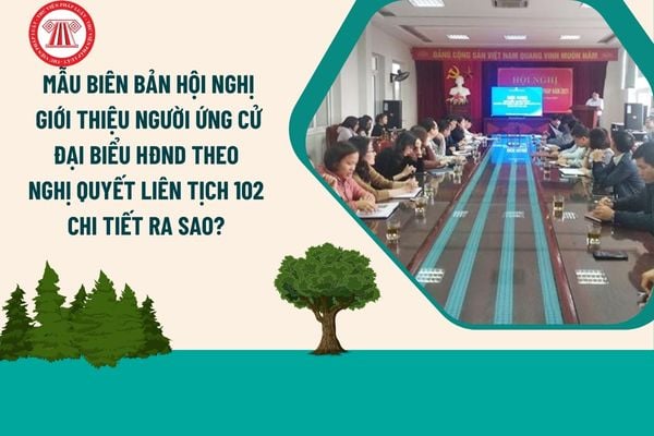 Mẫu biên bản hội nghị giới thiệu người ứng cử đại biểu HĐND theo Nghị quyết liên tịch 102 chi tiết ra sao? 