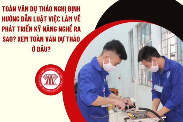 Toàn văn dự thảo Nghị định hướng dẫn Luật Việc làm về phát triển kỹ năng nghề ra sao? Xem toàn văn dự thảo ở đâu?