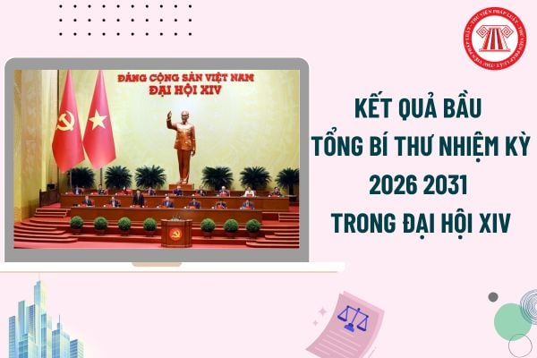 Pháp luật