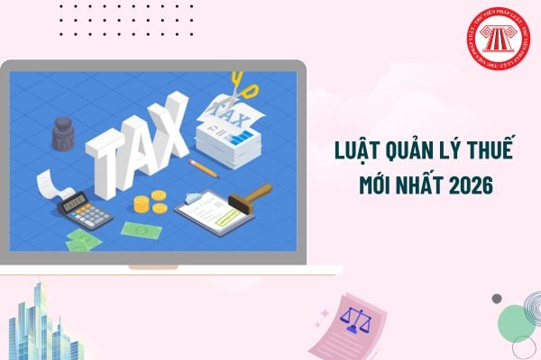 Pháp luật