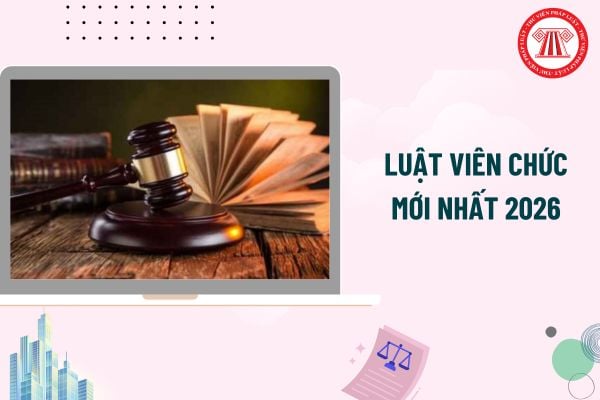 Pháp luật