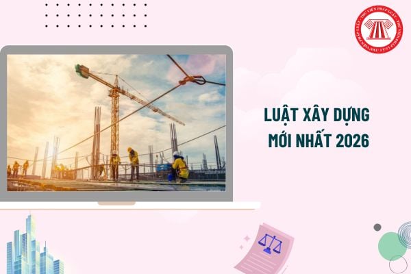 Pháp luật