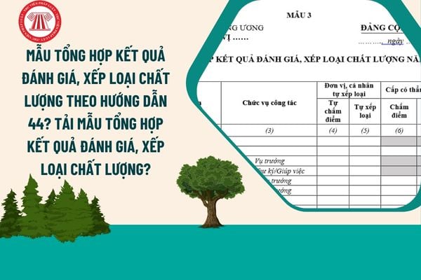 Mẫu tổng hợp kết quả đánh giá, xếp loại chất lượng theo Hướng dẫn 44? Tải mẫu tổng hợp kết quả đánh giá, xếp loại chất lượng?