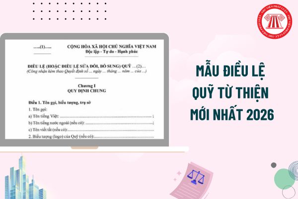 Pháp luật