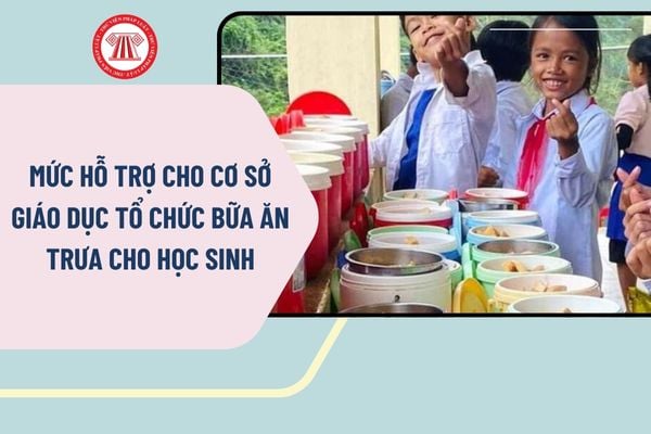 Pháp luật