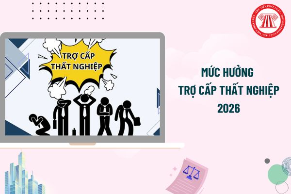 Pháp luật