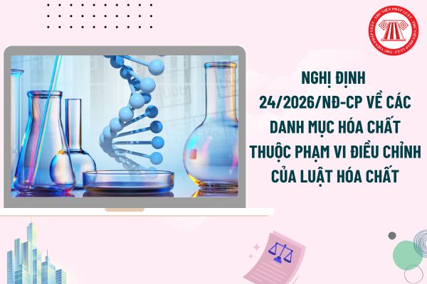Pháp luật