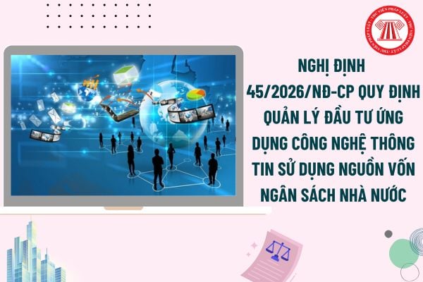 Pháp luật