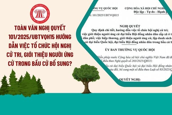 Toàn văn Nghị quyết 101/2025/UBTVQH15 hướng dẫn việc tổ chức hội nghị cử tri, giới thiệu người ứng cử trong bầu cử bổ sung?
