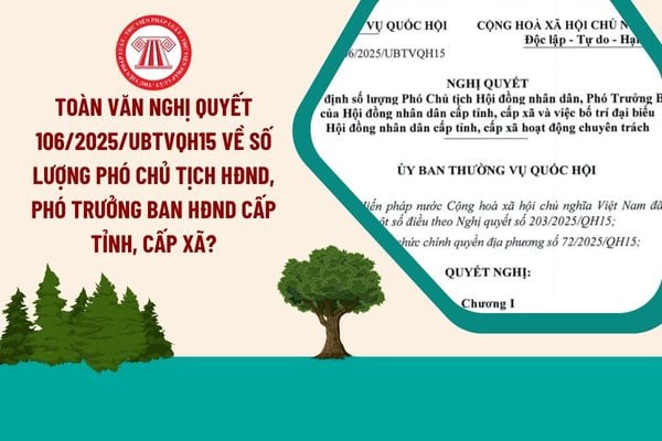 Toàn văn Nghị quyết 106/2025/UBTVQH15 về số lượng Phó Chủ tịch HĐND, Phó Trưởng Ban HĐND cấp tỉnh, cấp xã?