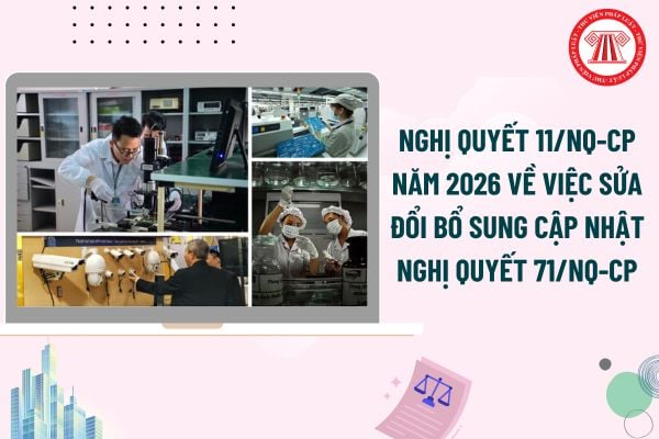 Pháp luật