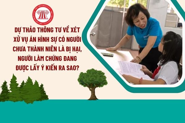 Dự thảo Thông tư về xét xử vụ án hình sự có người chưa thành niên là bị hại, người làm chứng đang được lấy ý kiến ra sao?