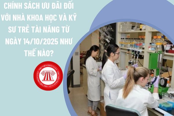 Chính sách ưu đãi đối với nhà khoa học và kỹ sư trẻ tài năng từ ngày 14/10/2025 như thế nào?