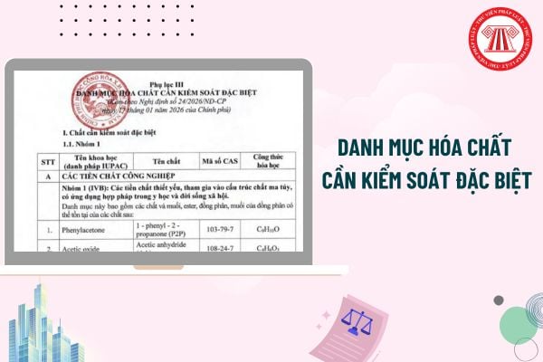 Pháp luật