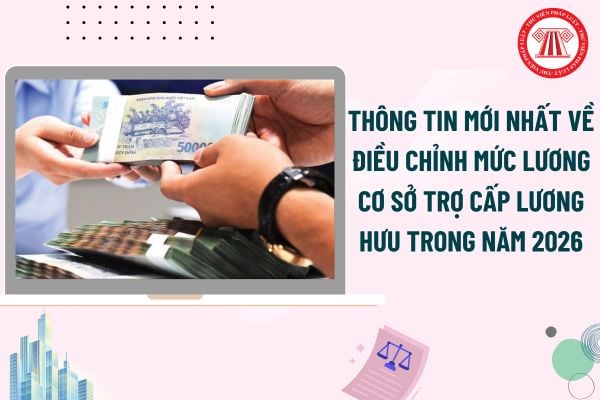 Pháp luật