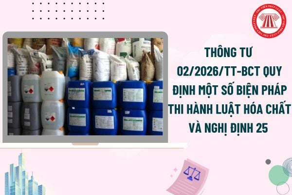 Pháp luật