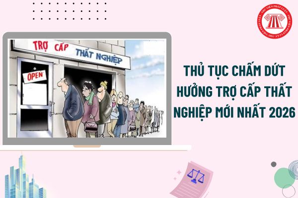 Pháp luật