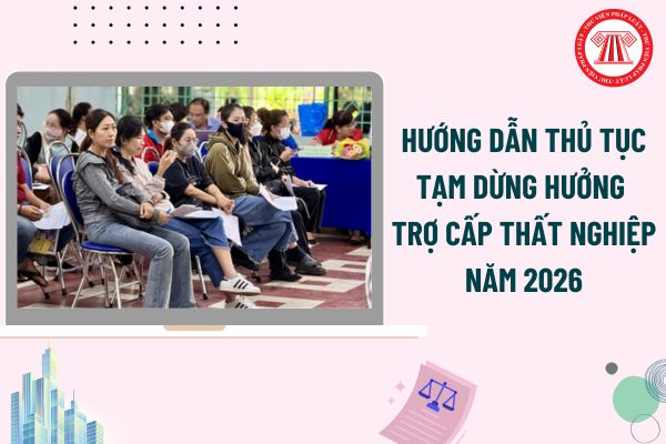 Pháp luật