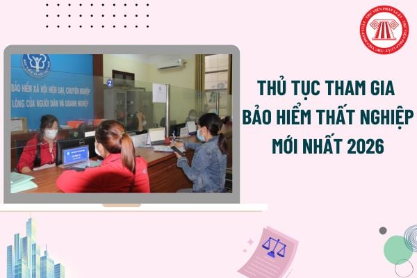 Pháp luật