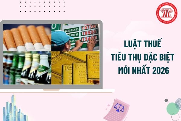 Pháp luật