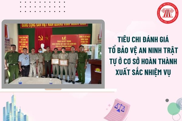 Pháp luật