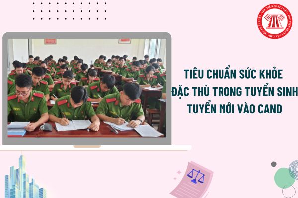 Pháp luật