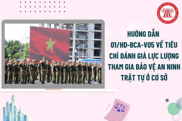 Pháp luật