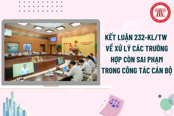 Pháp luật