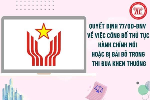 Pháp luật