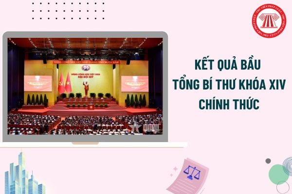 Pháp luật