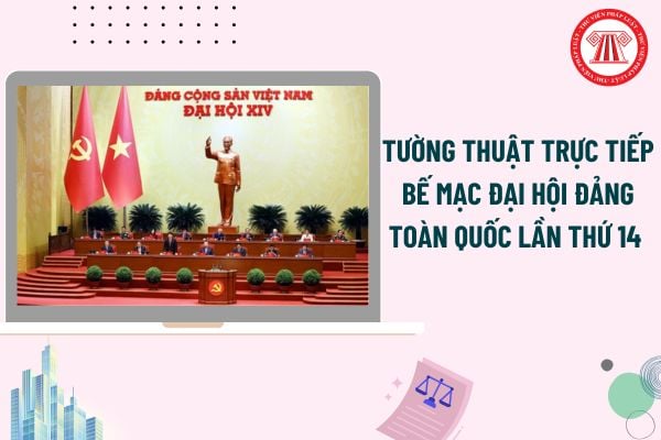 Pháp luật