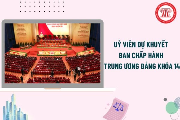 Pháp luật