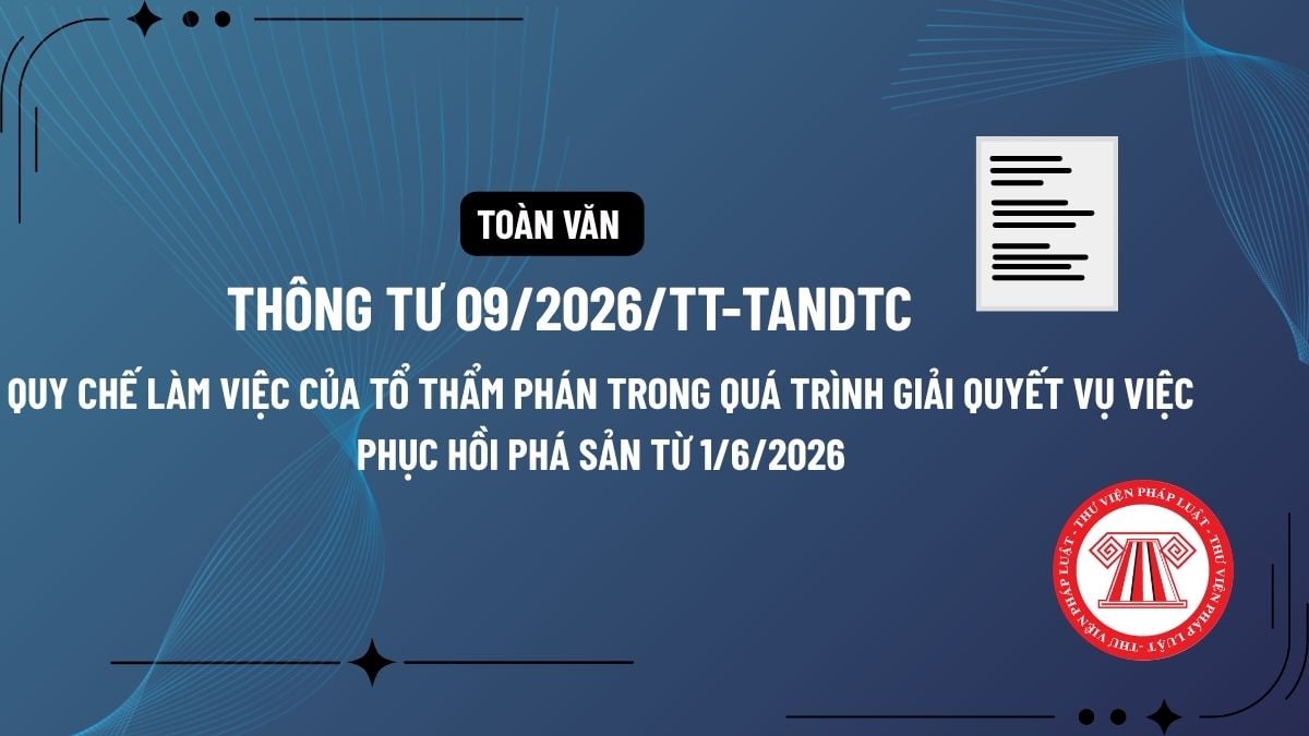 Pháp luật