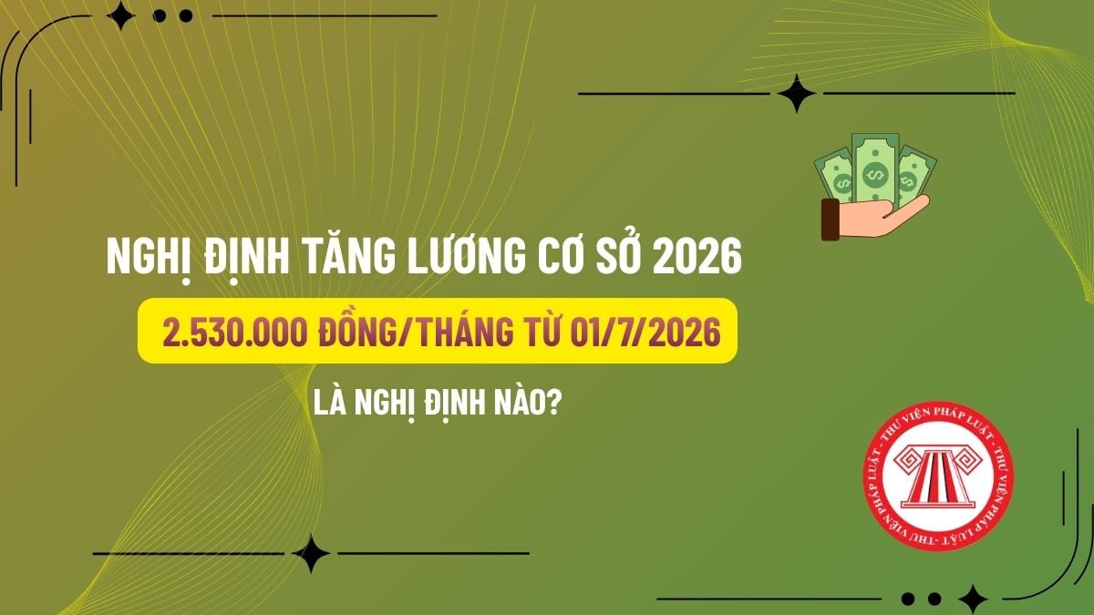 Pháp luật