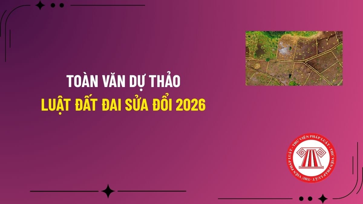 Pháp luật