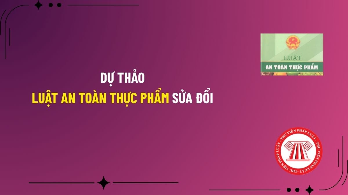 Pháp luật