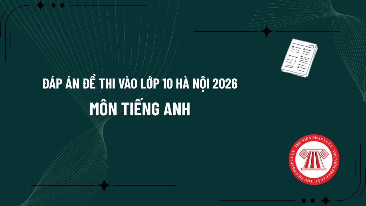 Pháp luật