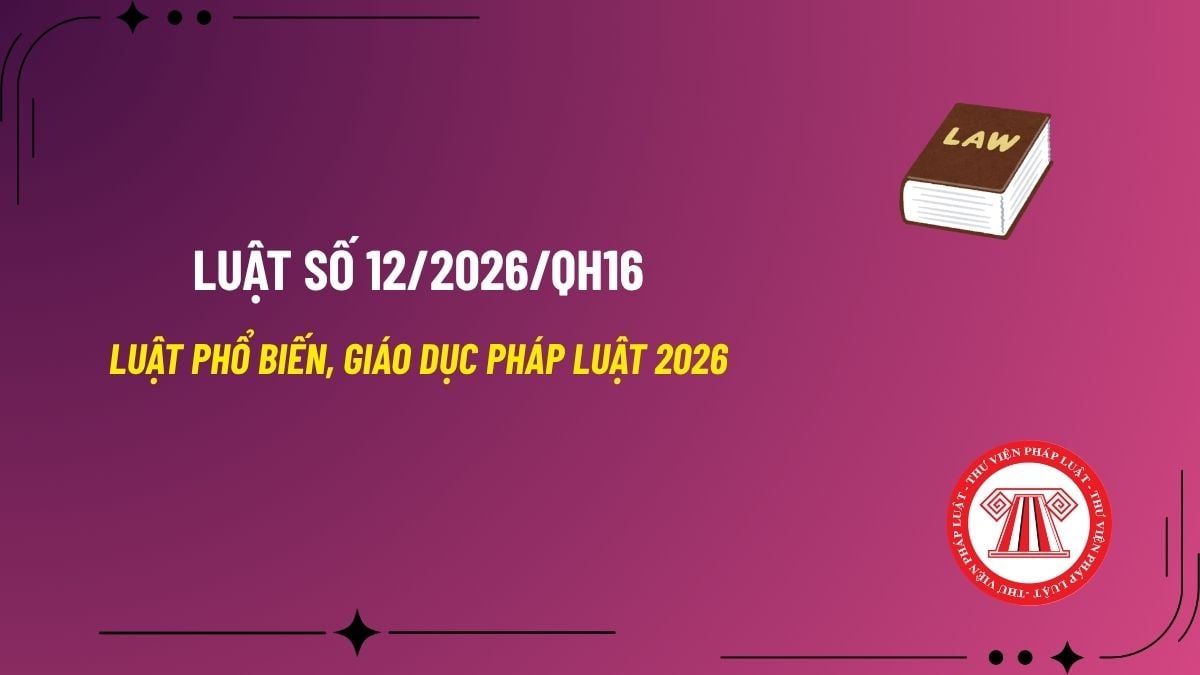 Pháp luật