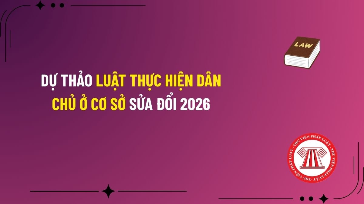 Pháp luật